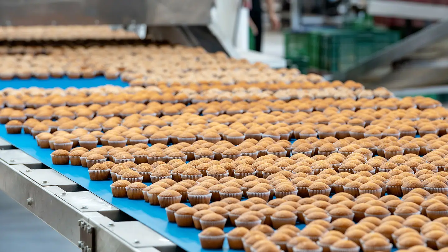 Impianti di prodotti da forno