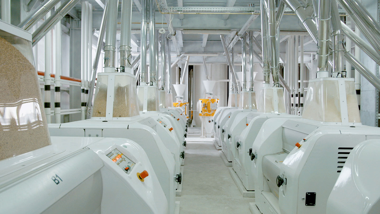 Impianti alimentari e molitori