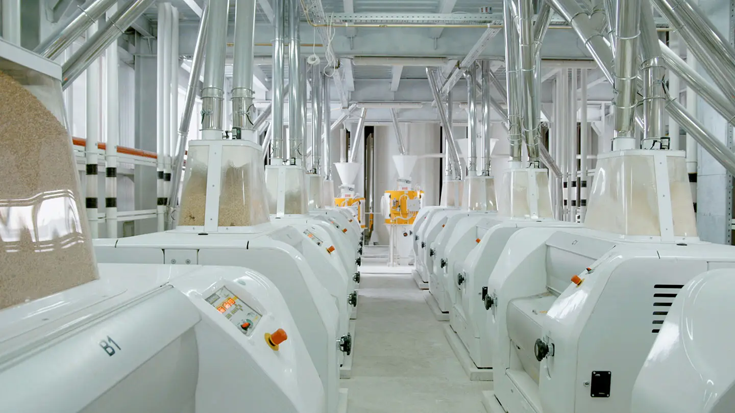 Impianti alimentari e molitori